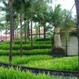 Bali_25dec2005_077